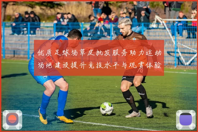 优质足球场草皮批发服务助力运动场地建设提升竞技水平与观赏体验