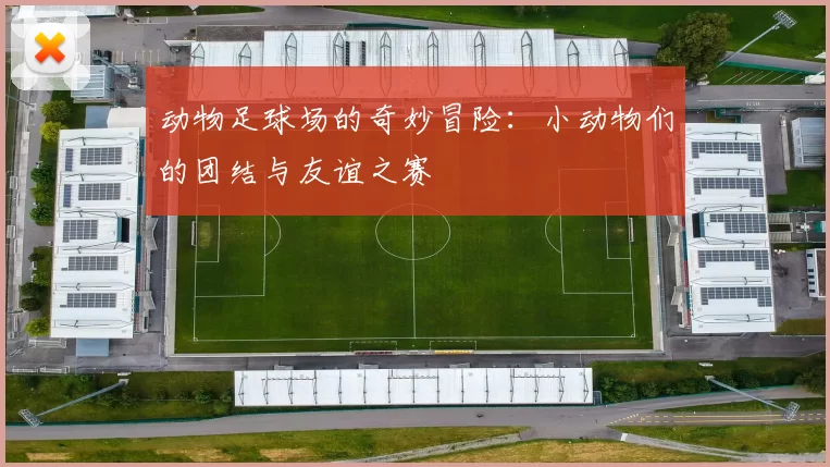 动物足球场的奇妙冒险：小动物们的团结与友谊之赛
