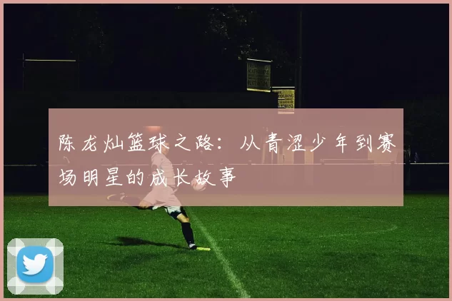 陈龙灿篮球之路：从青涩少年到赛场明星的成长故事