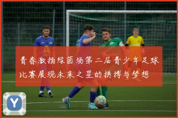 青春激扬绿茵场第二届青少年足球比赛展现未来之星的拼搏与梦想