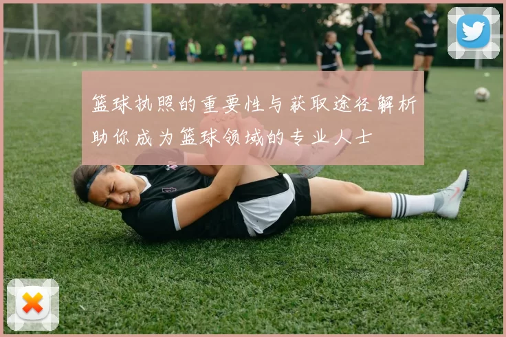 篮球执照的重要性与获取途径解析助你成为篮球领域的专业人士